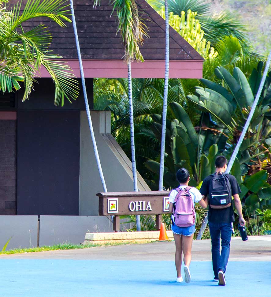 Online Academic Track
